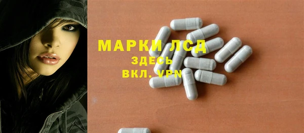 прущие грибы Арсеньев